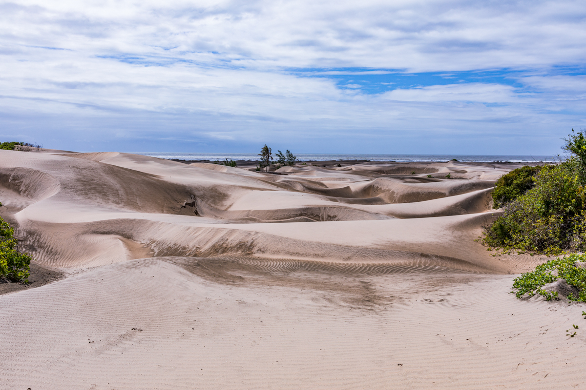 Mambrui Sand Dunes Beach Desert Malindi Kilifi County Marikebuni Along Malindi Graissa Road Kenyas Coast Province