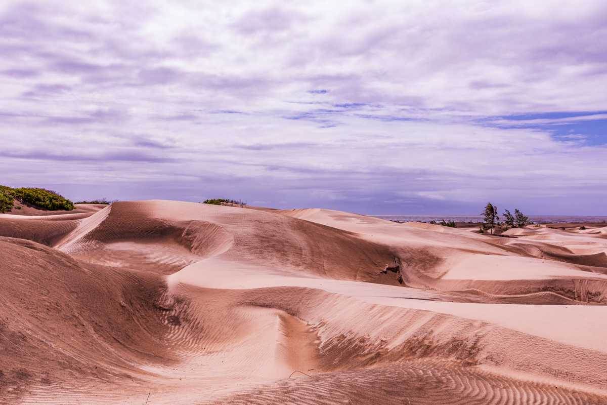 Mambrui Sand Dunes Beach Desert Malindi Kilifi County Marikebuni Along Malindi Graissa Road Kenyas Coast Province