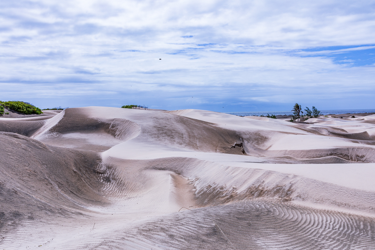 Mambrui Sand Dunes Beach Desert Malindi Kilifi County Marikebuni Along Malindi Graissa Road Kenyas Coast Province