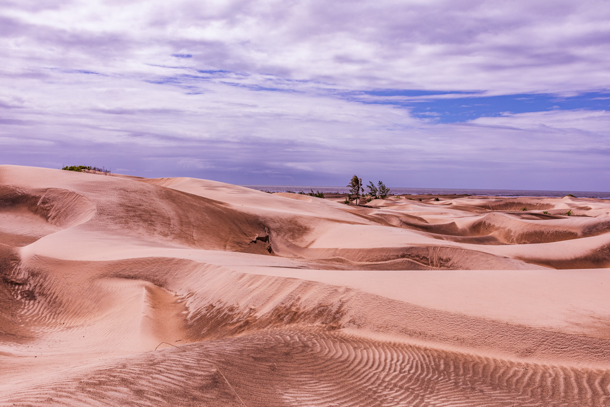 Mambrui Sand Dunes Beach Desert Malindi Kilifi County Marikebuni Along Malindi Graissa Road Kenyas Coast Province