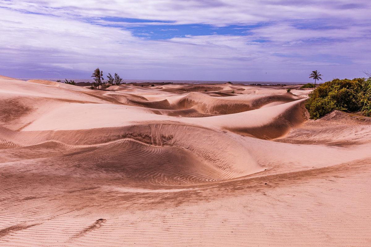 Mambrui Sand Dunes Beach Desert Malindi Kilifi County Marikebuni Along Malindi Graissa Road Kenyas Coast Province