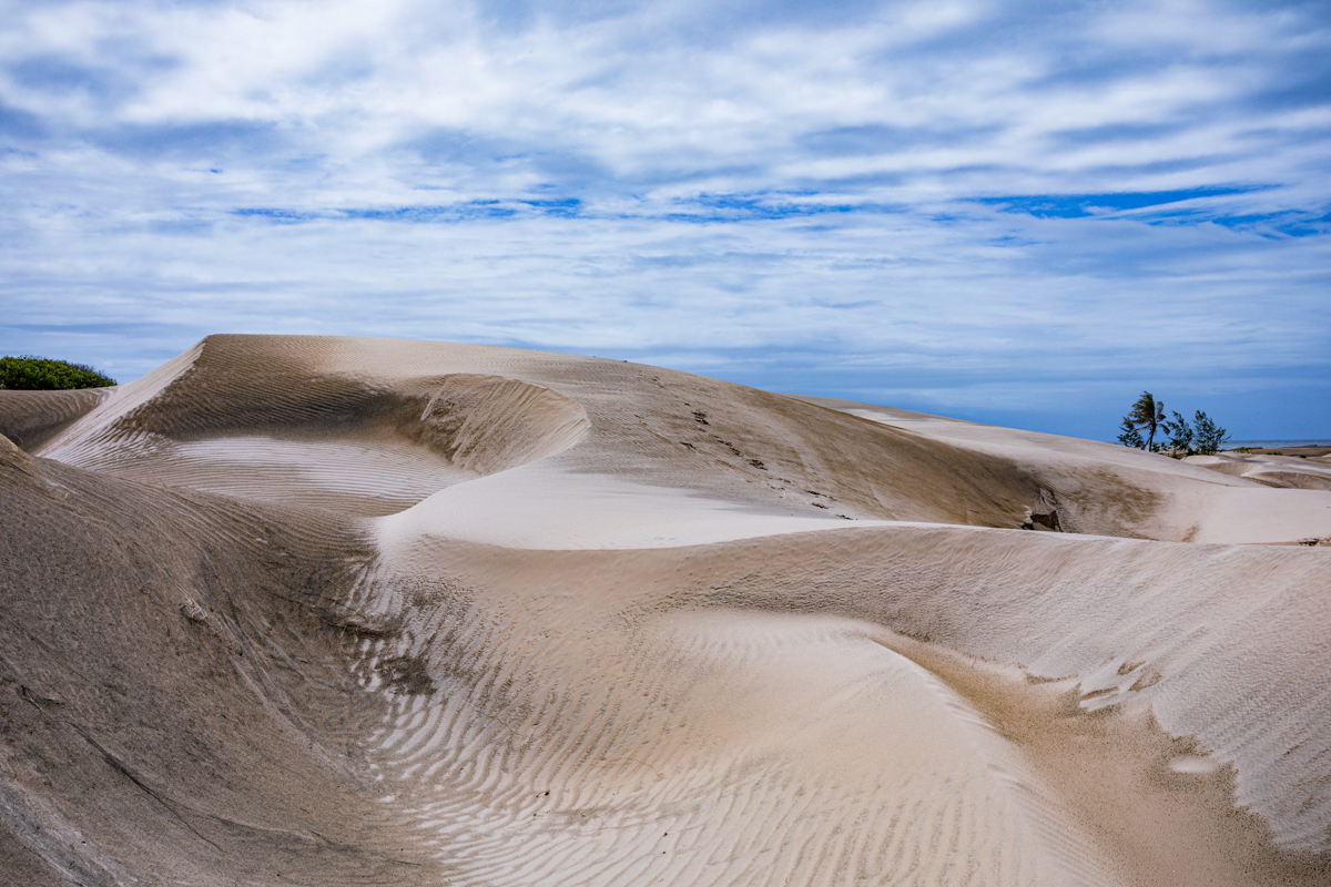 Mambrui Sand Dunes Beach Desert Malindi Kilifi County Marikebuni Along Malindi Graissa Road Kenyas Coast Province