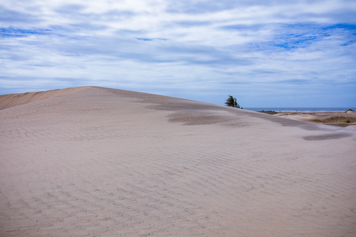 Mambrui Sand Dunes Beach Desert Malindi Kilifi County Marikebuni Along Malindi Graissa Road Kenyas Coast Province