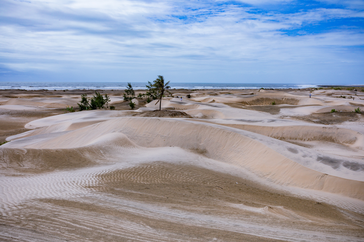 Mambrui Sand Dunes Beach Desert Malindi Kilifi County Marikebuni Along Malindi Graissa Road Kenyas Coast Province