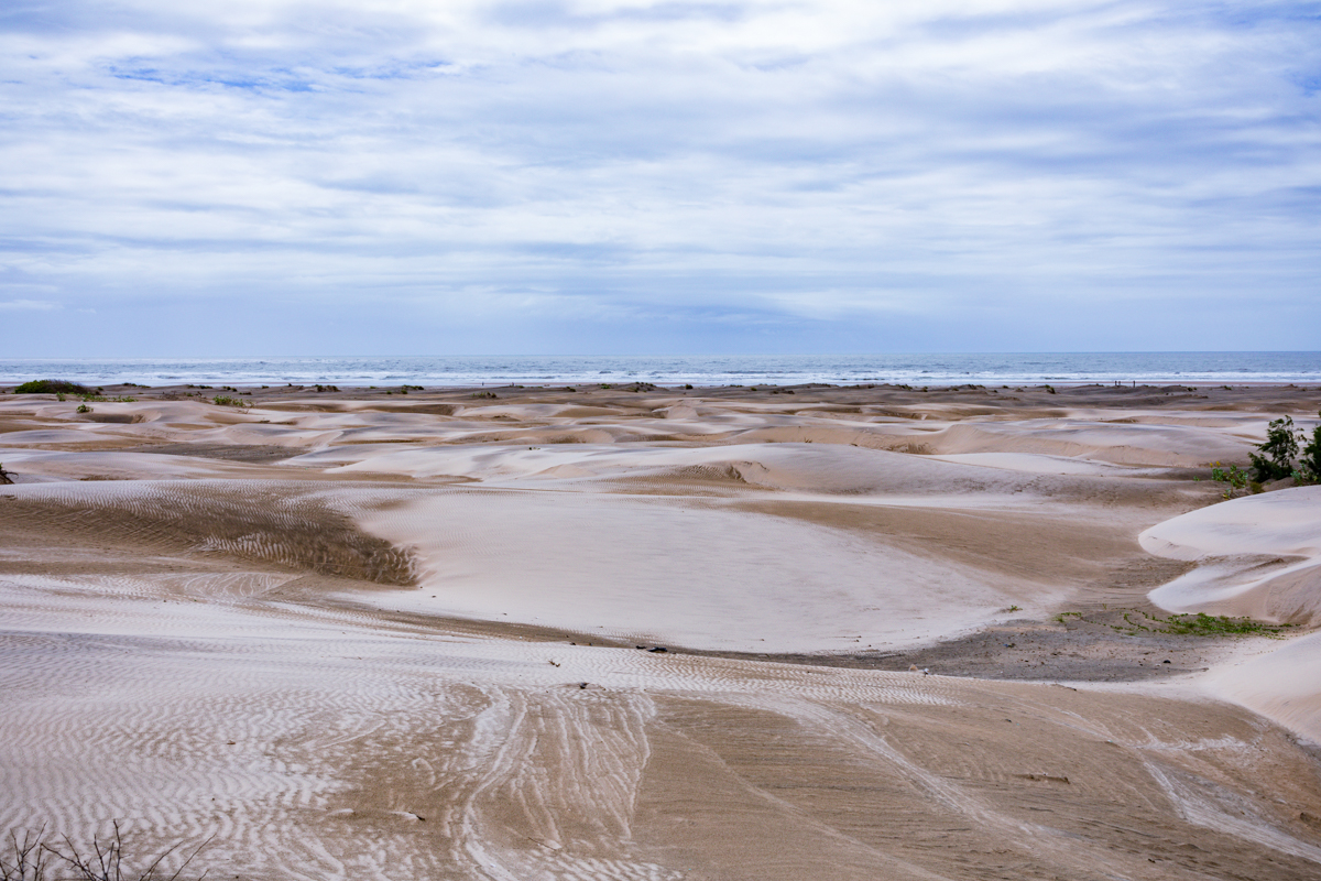 Mambrui Sand Dunes Beach Desert Malindi Kilifi County Marikebuni Along Malindi Graissa Road Kenyas Coast Province