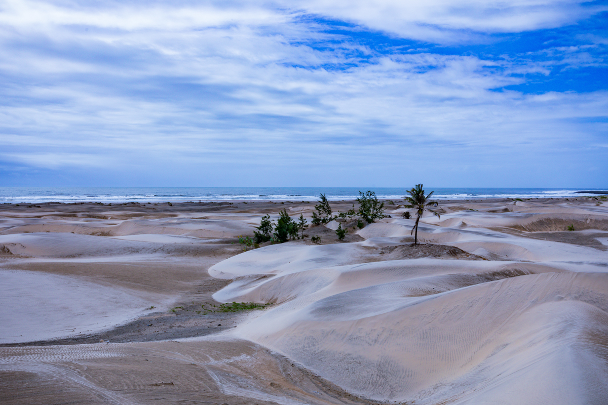 Mambrui Sand Dunes Beach Desert Malindi Kilifi County Marikebuni Along Malindi Graissa Road Kenyas Coast Province