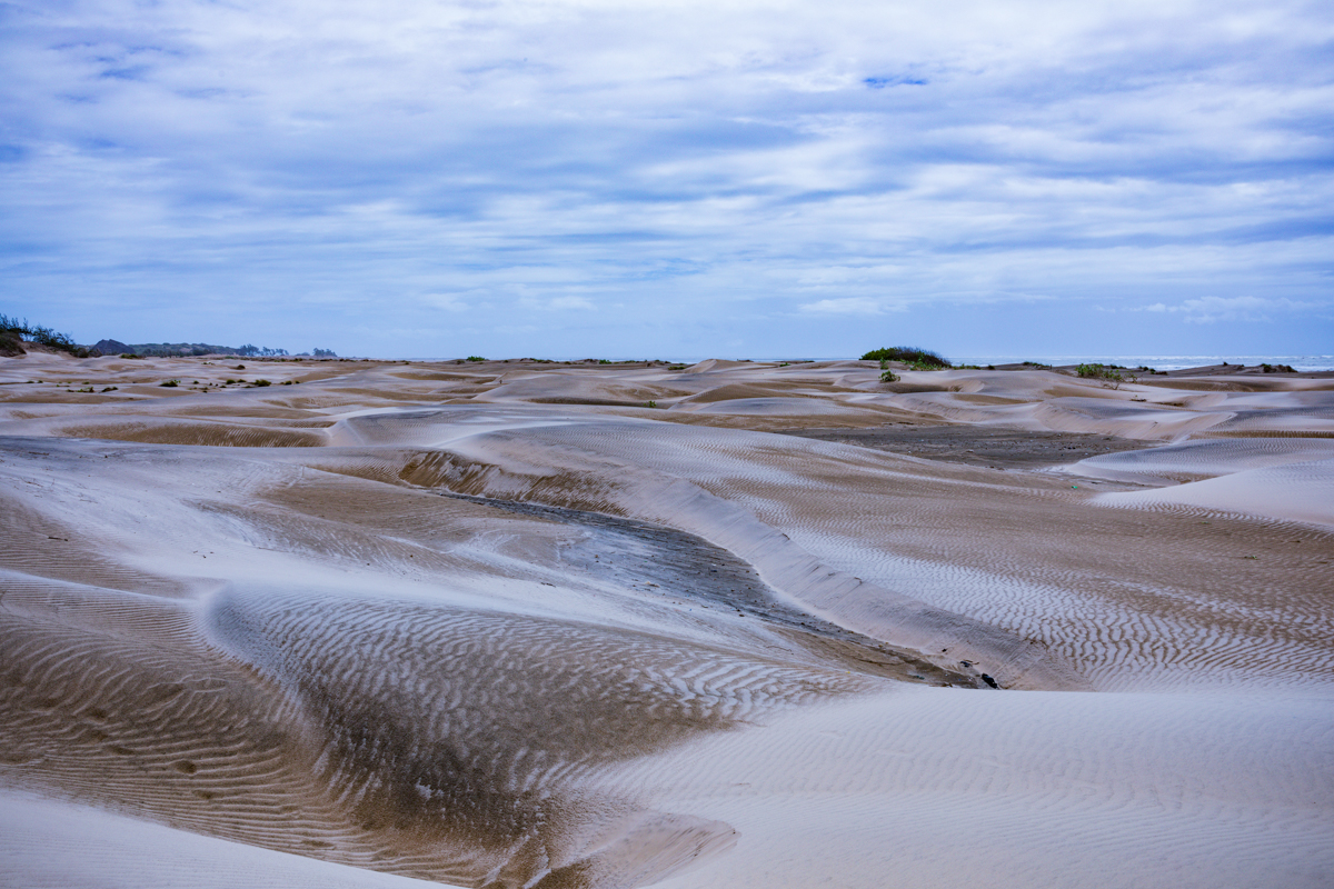 Mambrui Sand Dunes Beach Desert Malindi Kilifi County Marikebuni Along Malindi Graissa Road Kenyas Coast Province