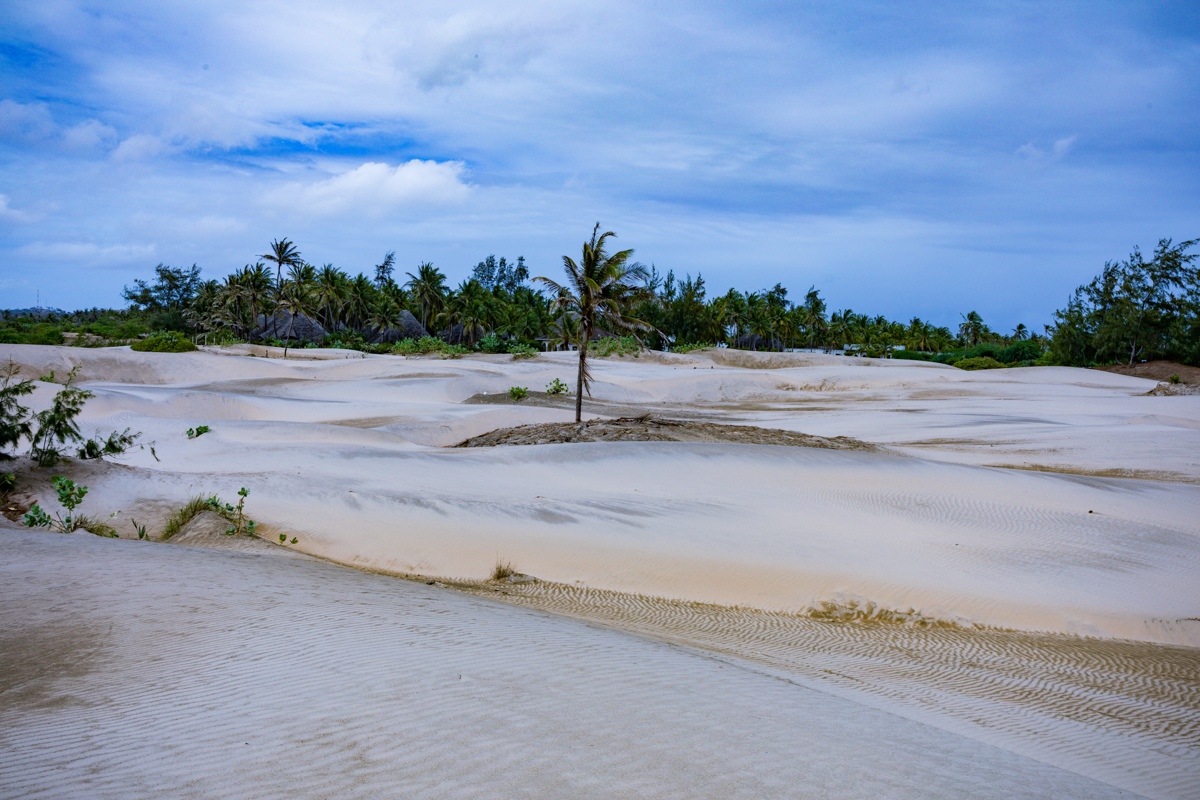 Mambrui Sand Dunes Beach Desert Malindi Kilifi County Marikebuni Along Malindi Graissa Road Kenyas Coast Province