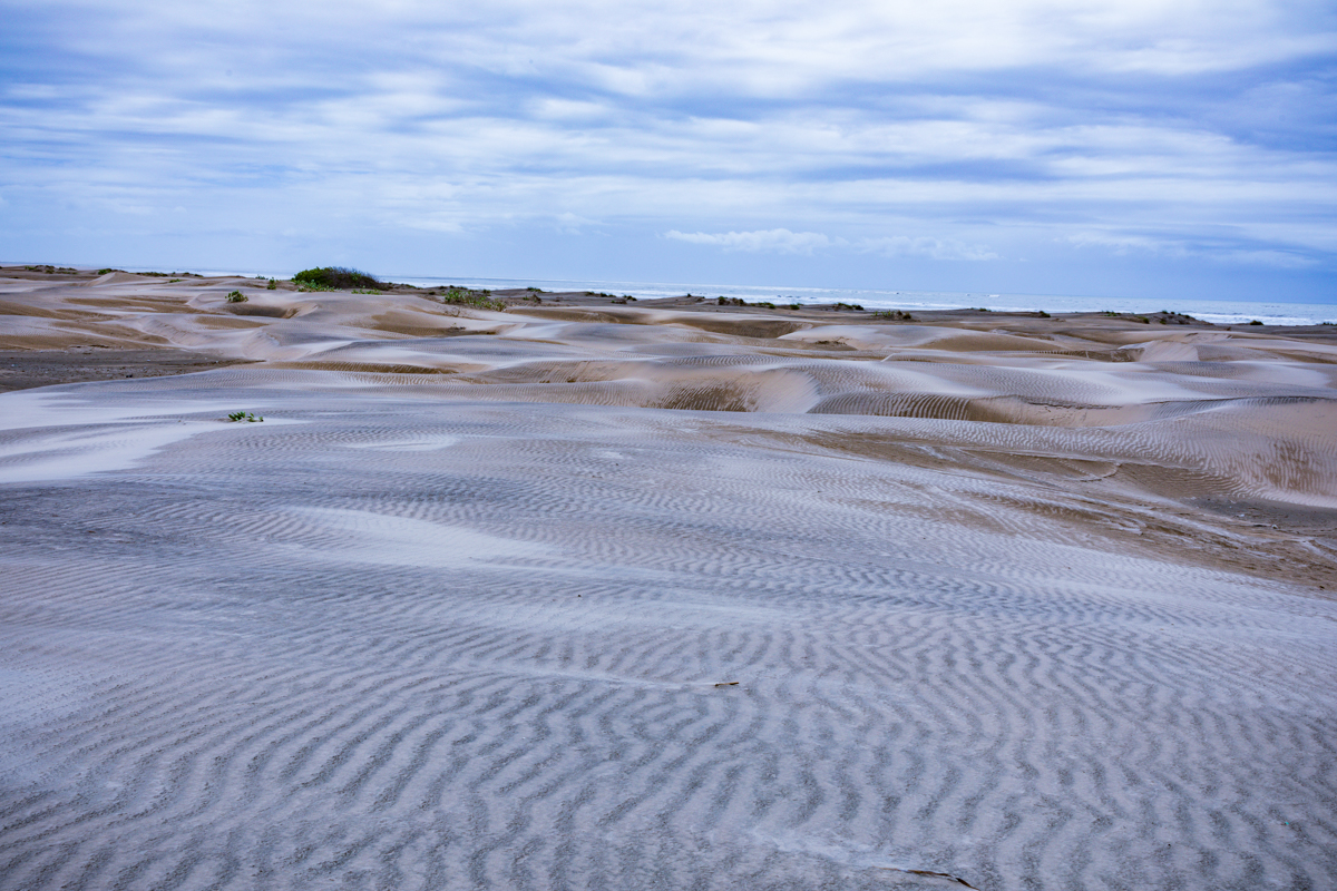 Mambrui Sand Dunes Beach Desert Malindi Kilifi County Marikebuni Along Malindi Graissa Road Kenyas Coast Province