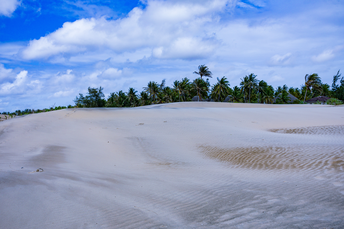 Mambrui Sand Dunes Beach Desert Malindi Kilifi County Marikebuni Along Malindi Graissa Road Kenyas Coast Province