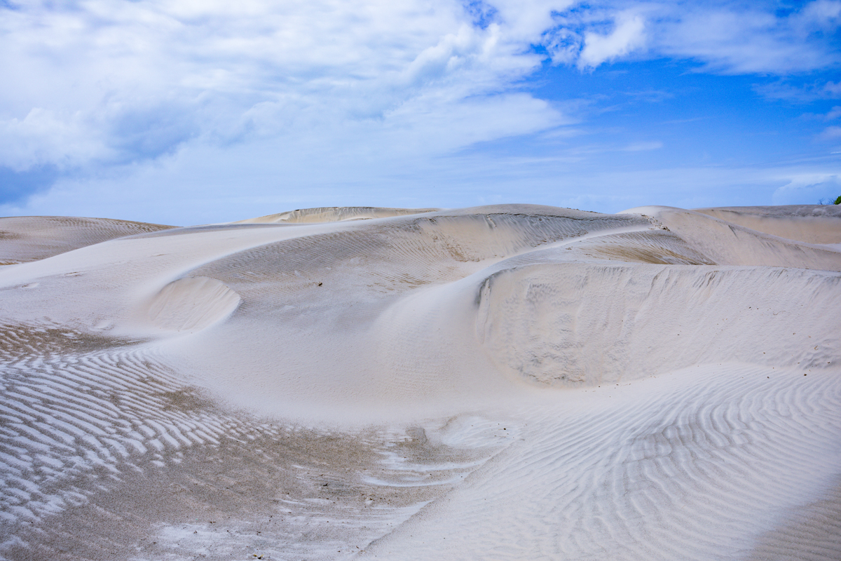 Mambrui Sand Dunes Beach Desert Malindi Kilifi County Marikebuni Along Malindi Graissa Road Kenyas Coast Province