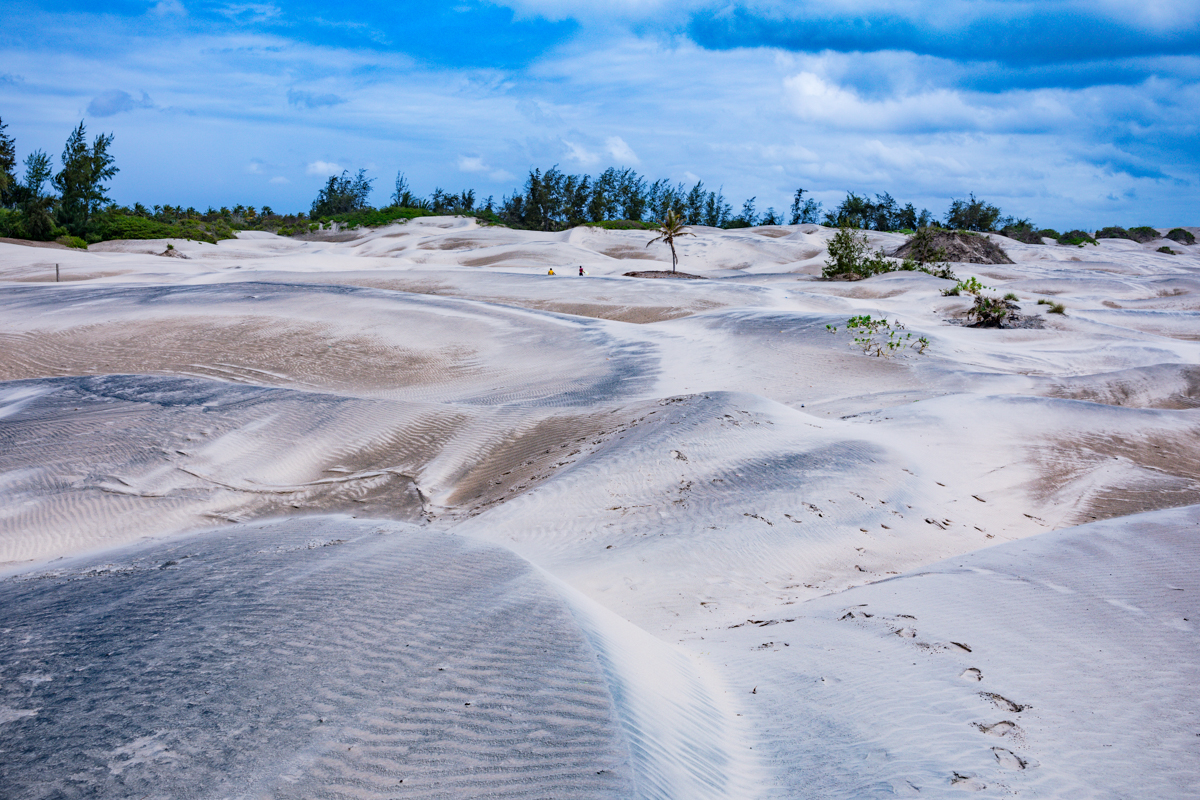 Mambrui Sand Dunes Beach Desert Malindi Kilifi County Marikebuni Along Malindi Graissa Road Kenyas Coast Province