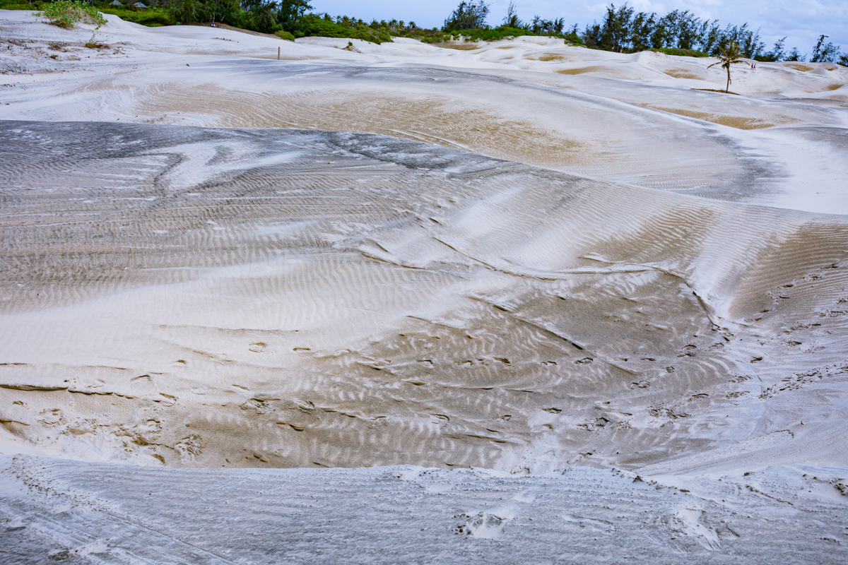 Mambrui Sand Dunes Beach Desert Malindi Kilifi County Marikebuni Along Malindi Graissa Road Kenyas Coast Province