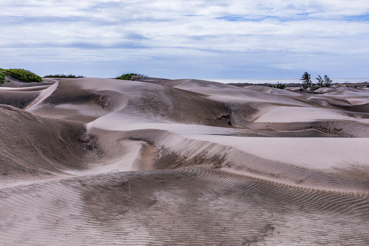 Mambrui Sand Dunes Beach Desert Malindi Kilifi County Marikebuni Along Malindi Graissa Road Kenyas Coast Province