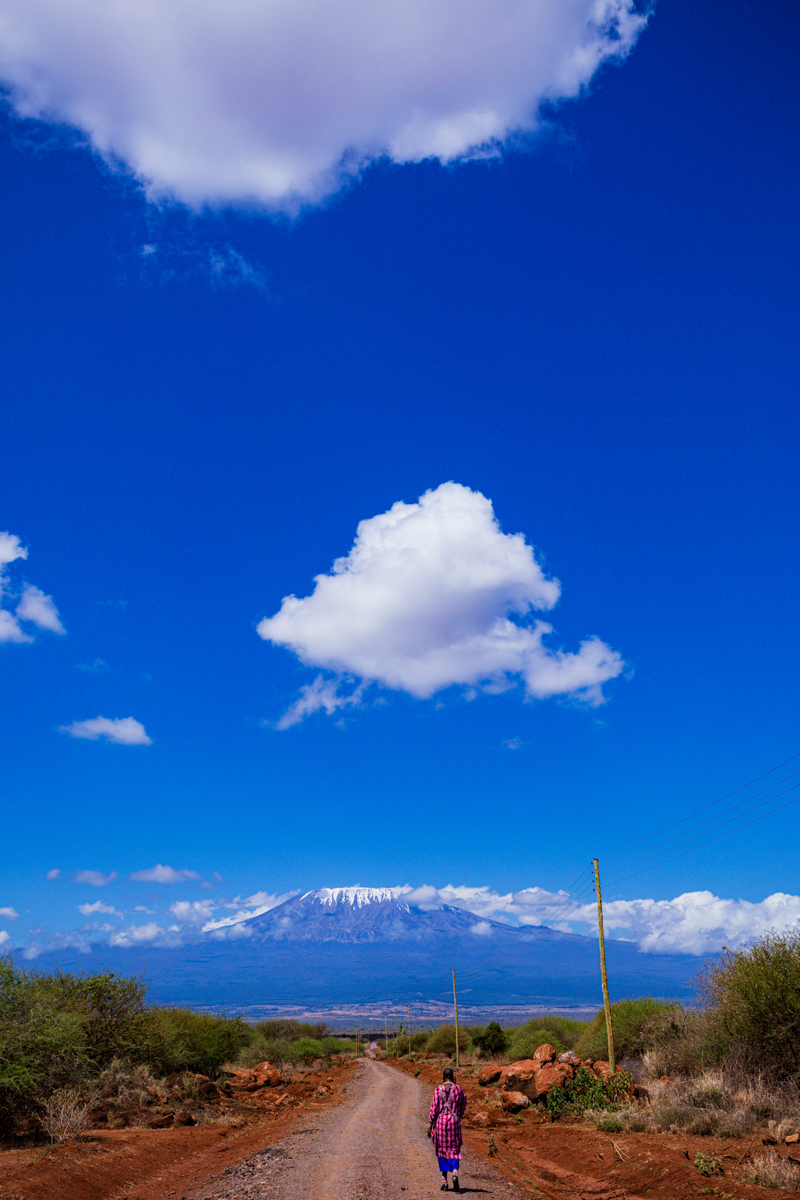 Mount Kilimanjaro Amboseli National :: Kenyan Landscapes Image