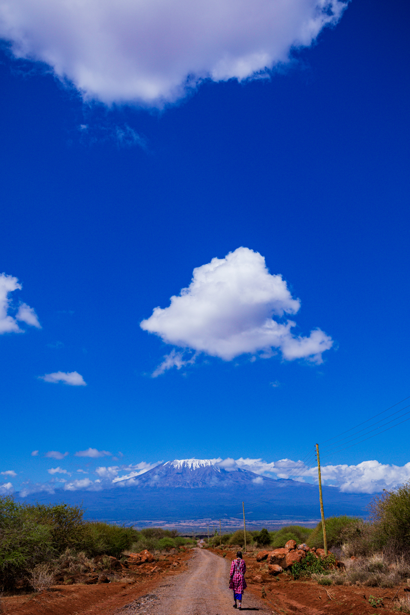 Mount Kilimanjaro Amboseli National :: Kenyan Landscapes Image