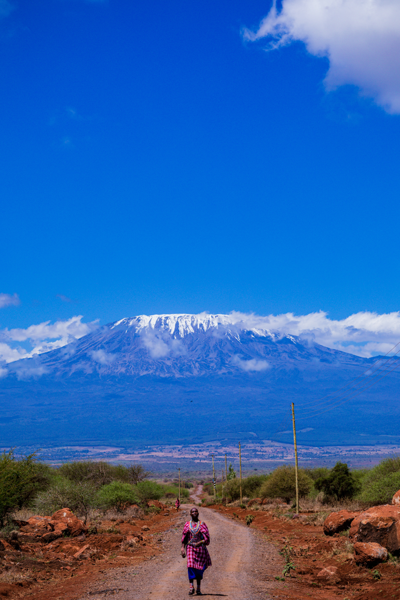 Mount Kilimanjaro Amboseli National :: Kenyan Landscapes Image