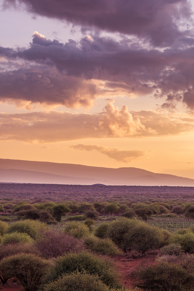 Antony Trivet Safaris Blog Kenya Travel Documentary Photography