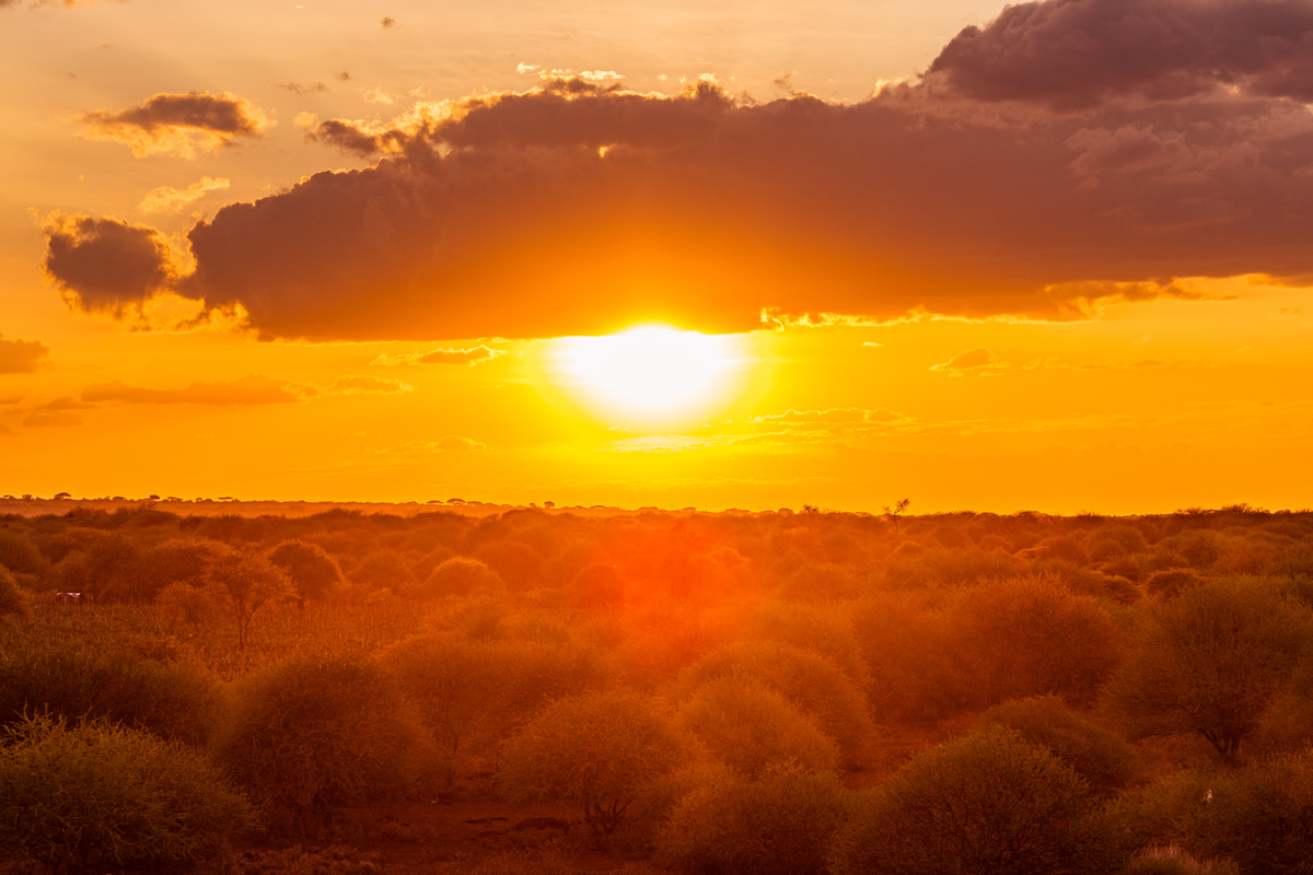 Mount Kilimanjaro Amboseli National :: Kenyan Landscapes Image