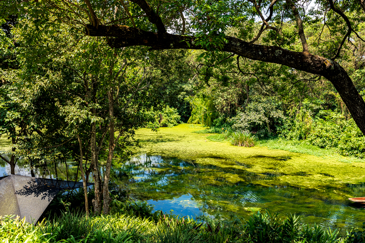 Tanzania Lifestyles Travels Safaris Documentary Photographers By Antony Trivet Photography