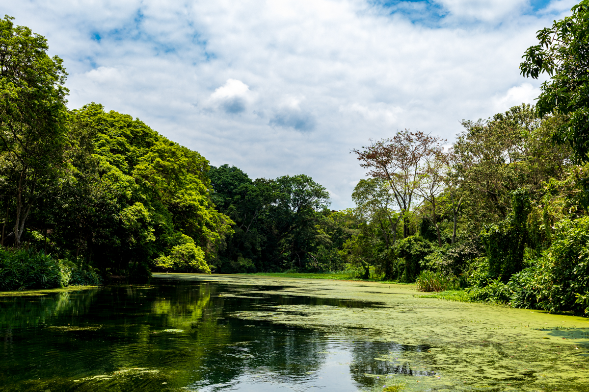 Tanzania Lifestyles Travels Safaris Documentary Photographers By Antony Trivet Photography