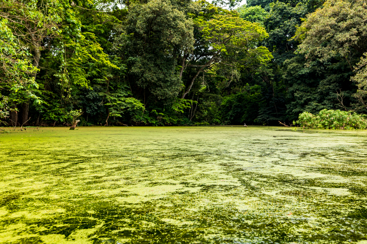 Tanzania Lifestyles Travels Safaris Documentary Photographers By Antony Trivet Photography