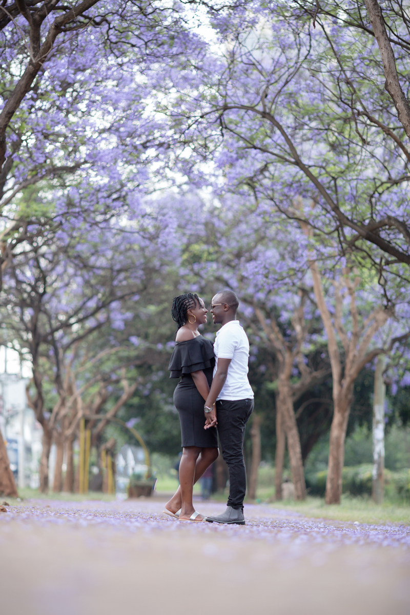 Uhuru Park View Point