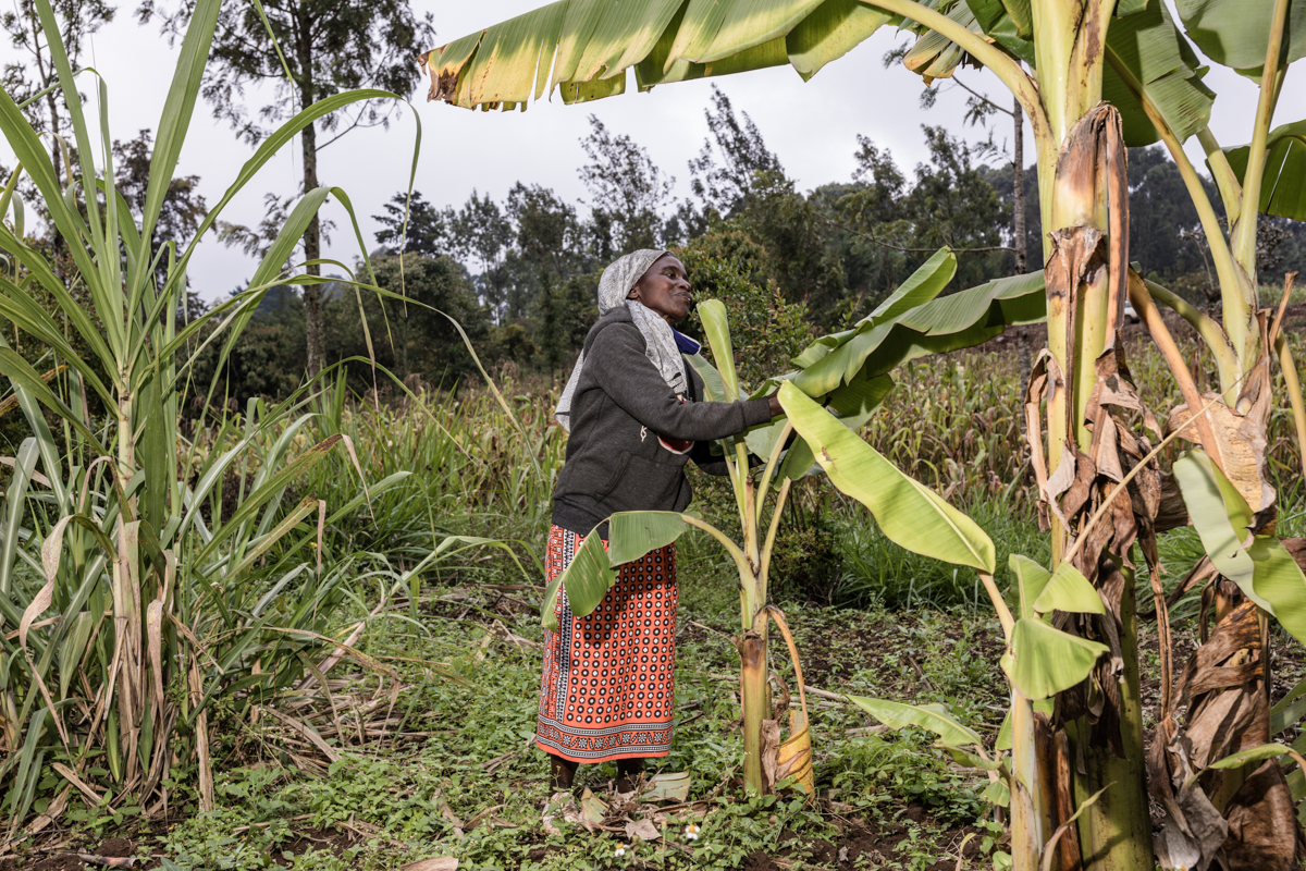 Antony Trivet Photography Travel Documentary Kenyan Creatives