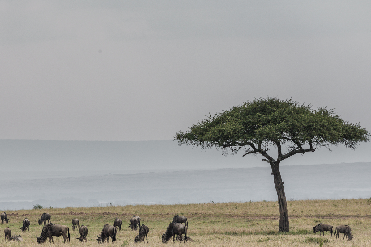 Antony Trivet Is A Travel Documentary Humanitarian Portrait Photographer Based In Nairobi City County Kenya's Capital East Africa