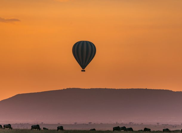 Safari Adventure Wildlife Paradise :: Travel Documentary In Kenya