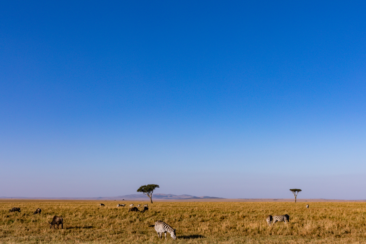 Antony Trivet Travel Safaris - Kenya Landscapes Photographers