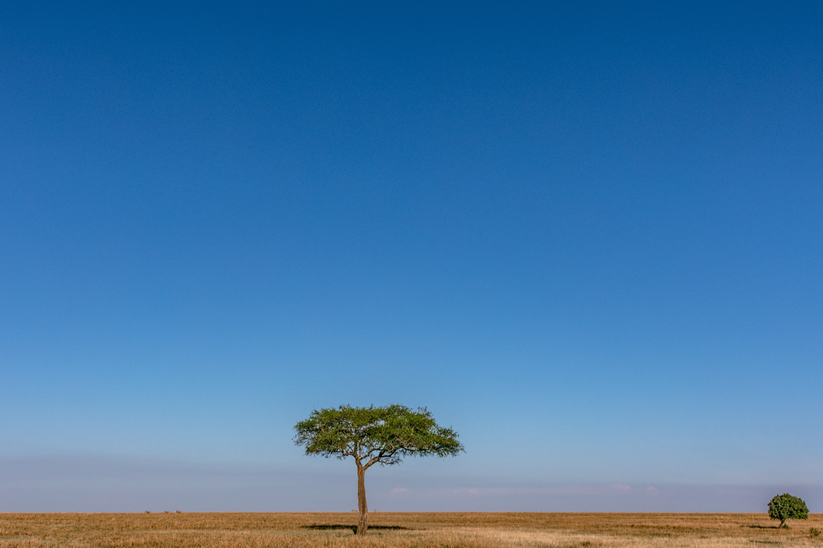 Antony Trivet Travel Safaris - Kenya Landscapes Photographers