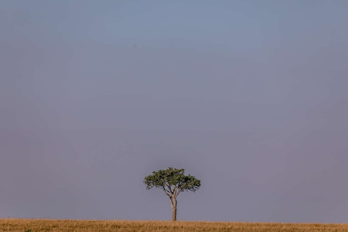 Antony Trivet Travel Safaris - Kenya Landscapes Photographers