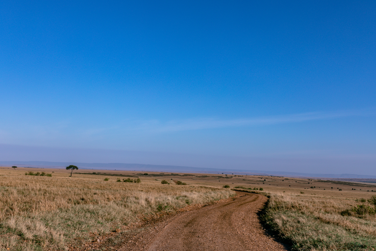 Antony Trivet Travel Safaris - Wildlife Animals Photographers In Kenya