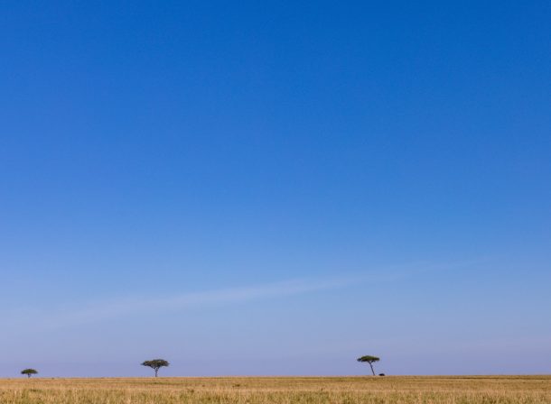 Kenya Safari Destination Photographer :: Travel Documentary Story