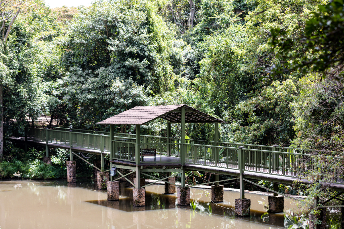 Bridge Over Fishing Pond To Tent AreaSarova Mara Game Camp Kenya Safari Lodge In Maasai Mara National Reserve - Antony Trivet Travels