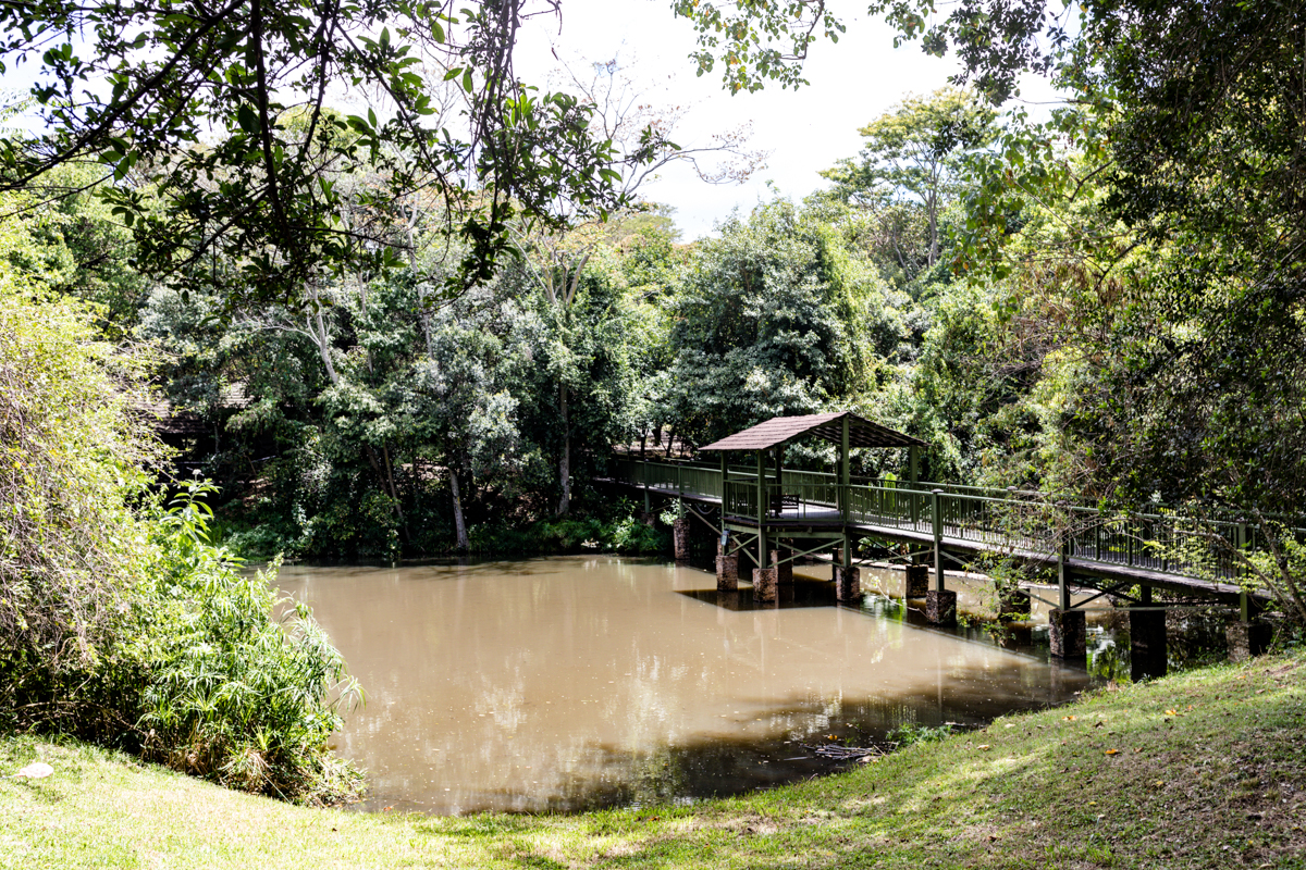 Bridge Over Fishing Pond To Tent AreaSarova Mara Game Camp Kenya Safari Lodge In Maasai Mara National Reserve - Antony Trivet Travels