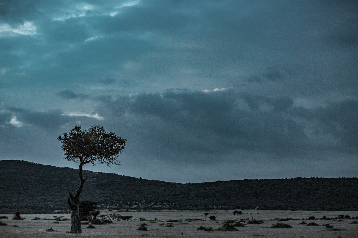 African Safari Wedding Photography :: Kenya Ghanaian Elopement