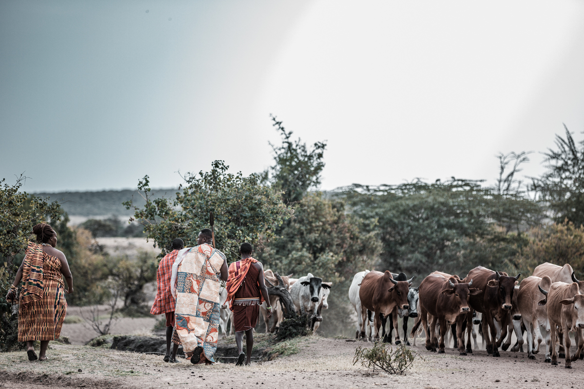 African Safari Wedding Photography :: Kenya Ghanaian Elopement