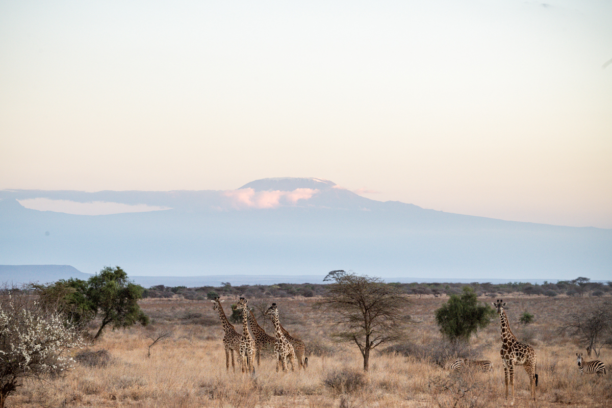 Antony Trivet Safaris Blog Kenya Travel Documentary Photography