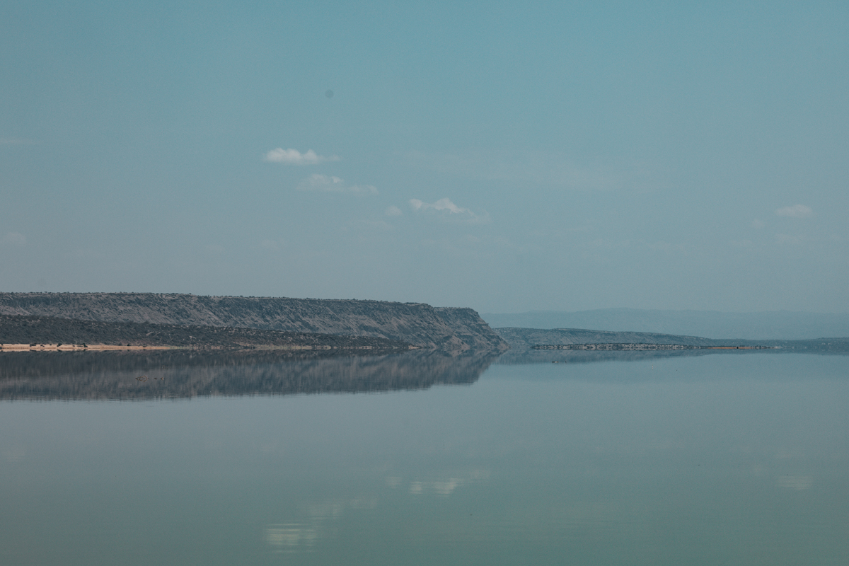 Lake Magadi Flamingos Home