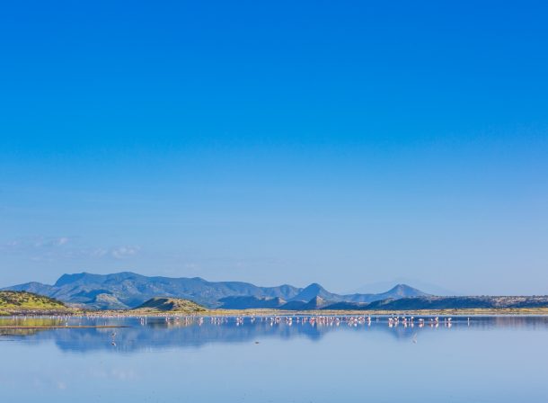 Kenya Landscapes Photographers :: Lake Magadi Flamingos Home