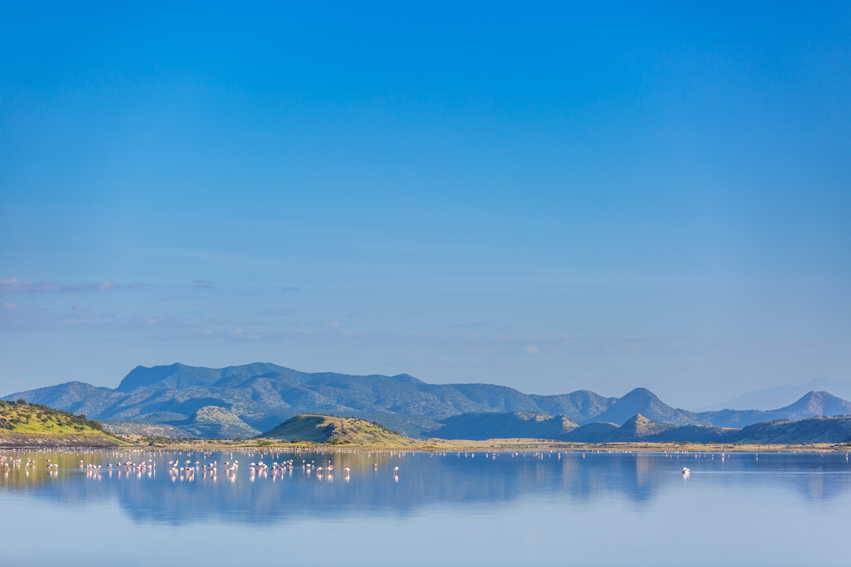 Kenya Landscapes Photographers :: Lake Magadi Flamingos Home