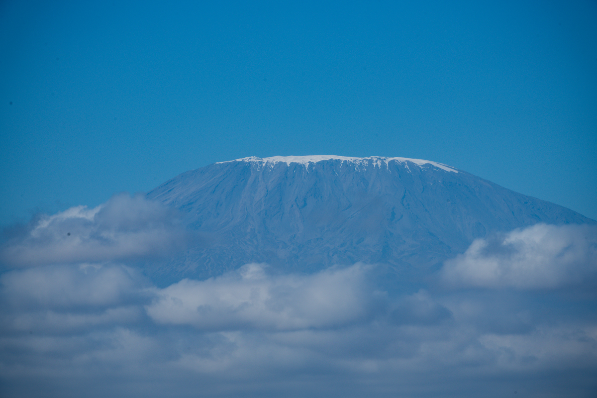 Mt Kilimanjaro Amboseli National Park :: Kenya Landscapes Image