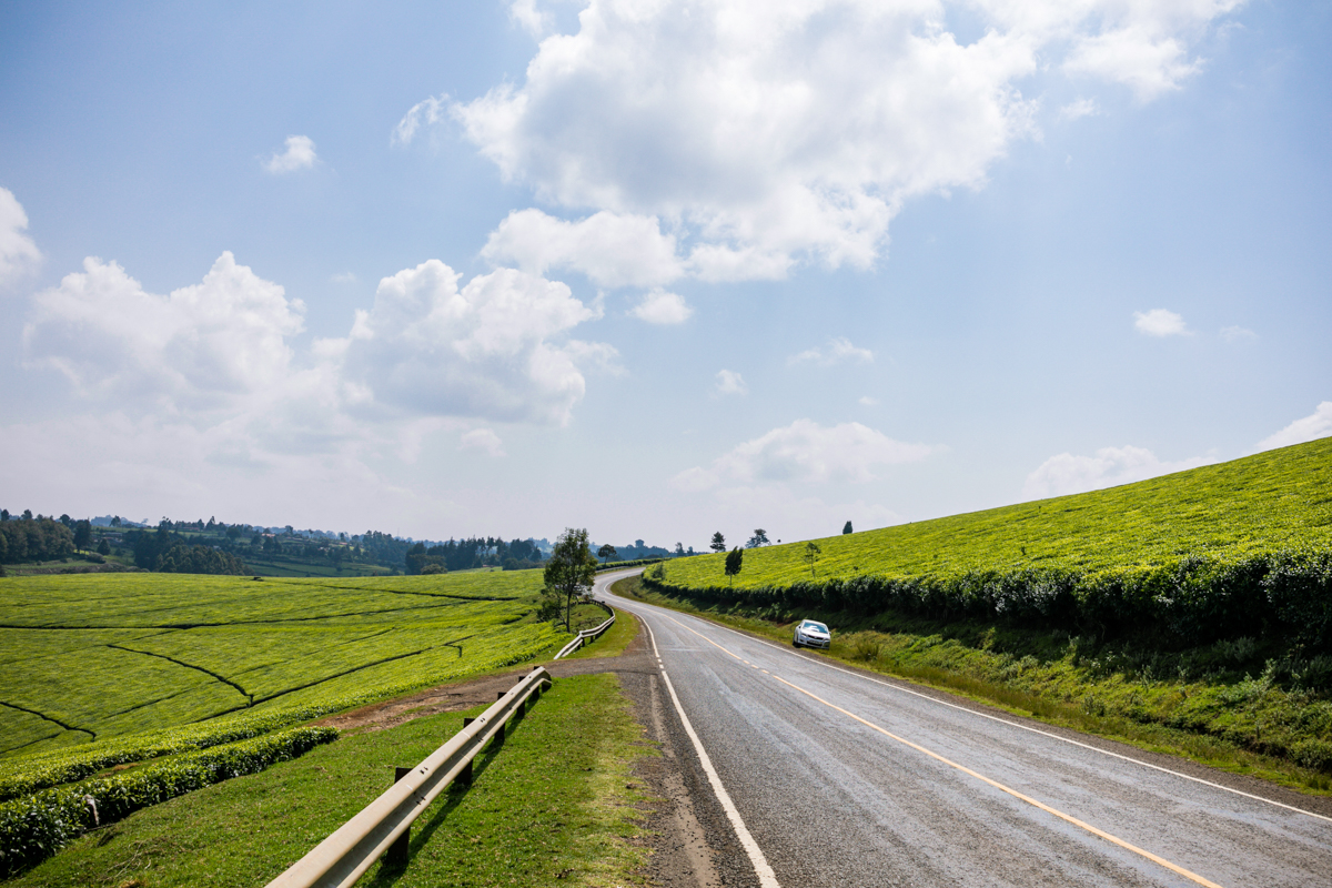 Kenya Landscape Photographer :: Kiambu County Tea Farm Estate