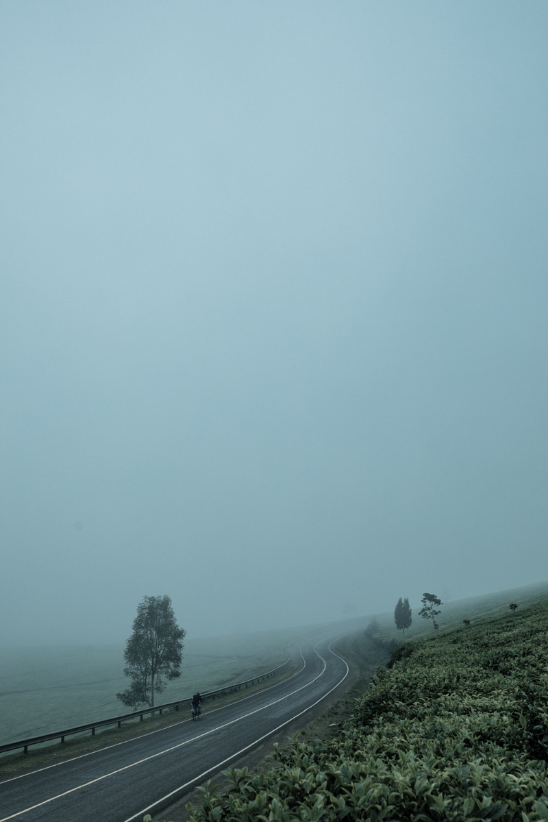 Kiambu County Tea Farm Estate