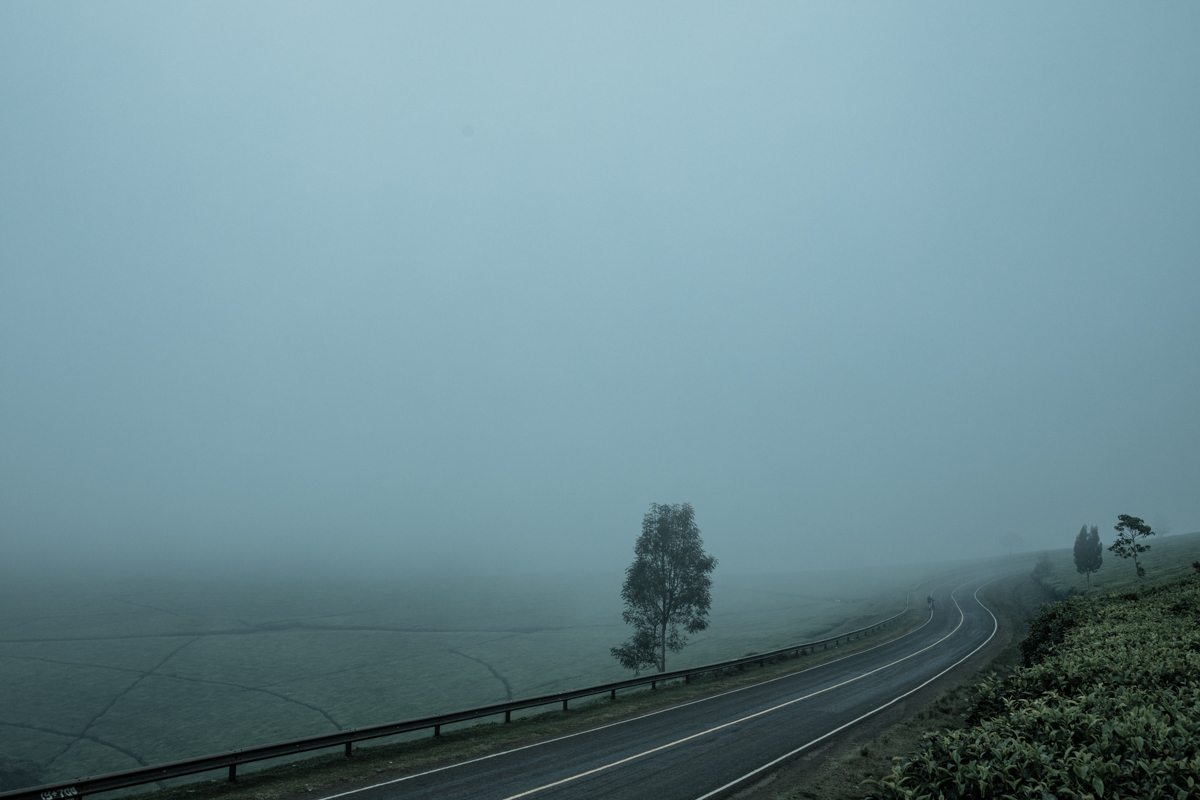 Kiambu County Tea Farm Estate