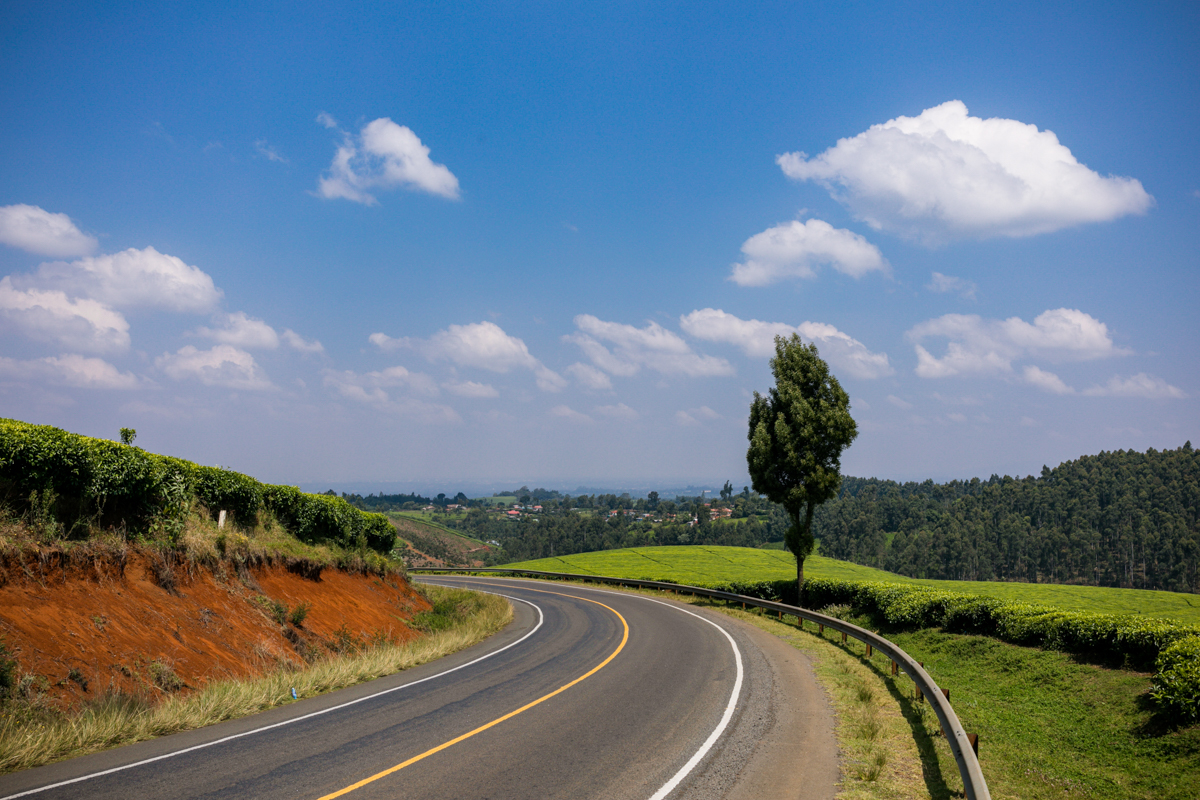 Kiambu County Tea Farm Estate