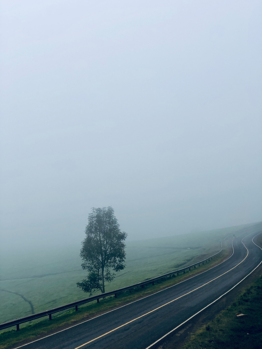 Kiambu County Tea Farm Estate