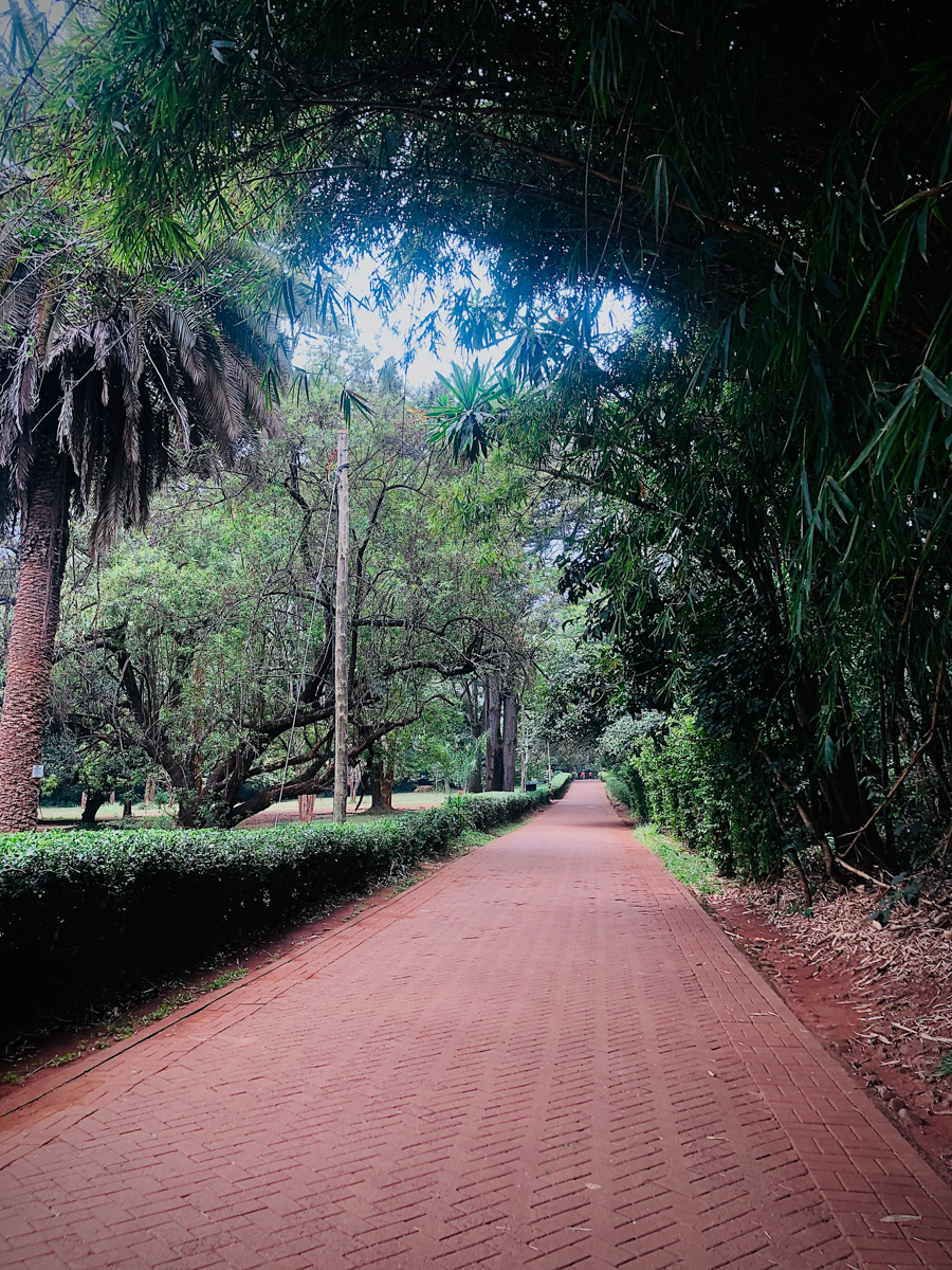 Kiambu County Tea Farm Estate